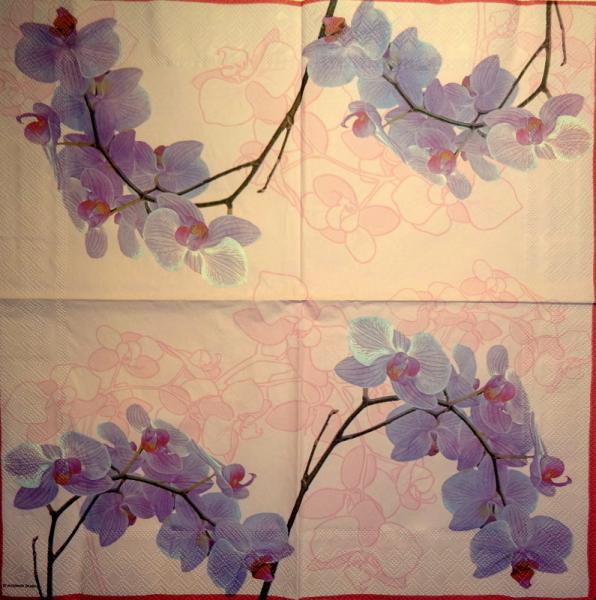 079 Orchideen - 3-lagig (rosa) - Ambiente